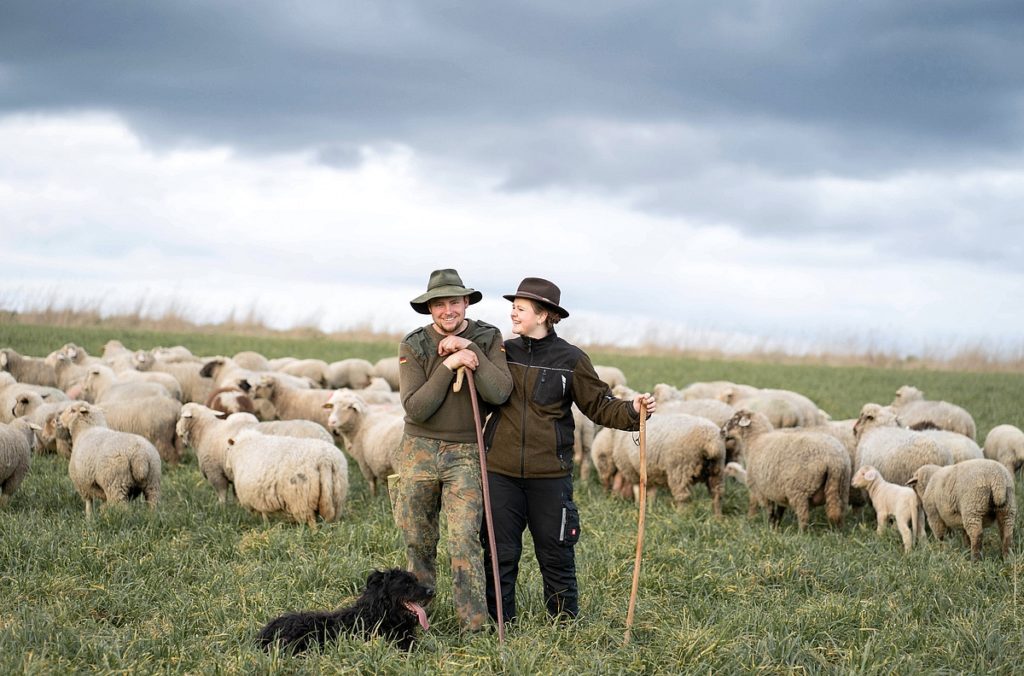 Paarshooting, Haustier, Tier, Natur, Schafe, Schäfer, Lamm, Tierfotografie, Fotografin, Fotograf, Karlshuld, Neuburg, Schrobenhausen